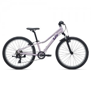 이미지 상세보기